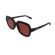 Montenegro Squares Sunglasses in Black with Red Lens For Cheap