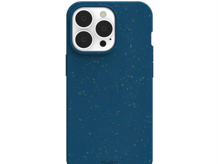 Stormy Blue iPhone 13 Pro Case Supply